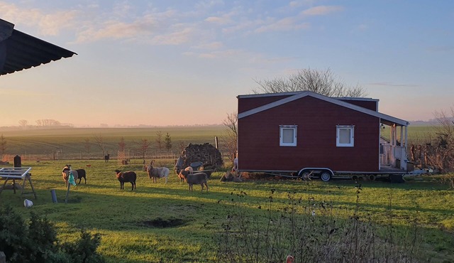Tiny House "Dat kleene Huus"