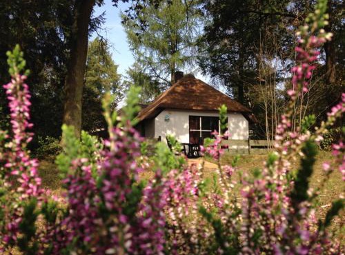 Tiny House de Berken