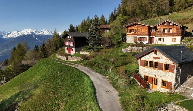 Tiny House facing the Alps - Ski in and out