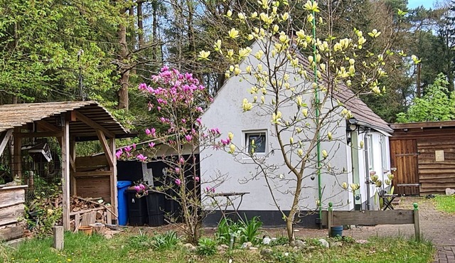 Tiny house in the Wingster Forest, near Nordesse, peace & relaxation in nature