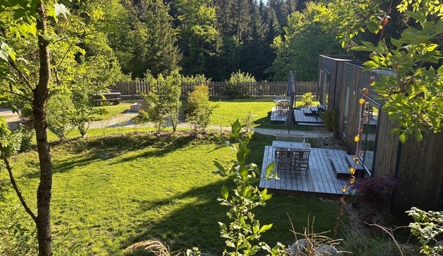 Tiny House near Forstsee – Nature, Tranquility & Lakes