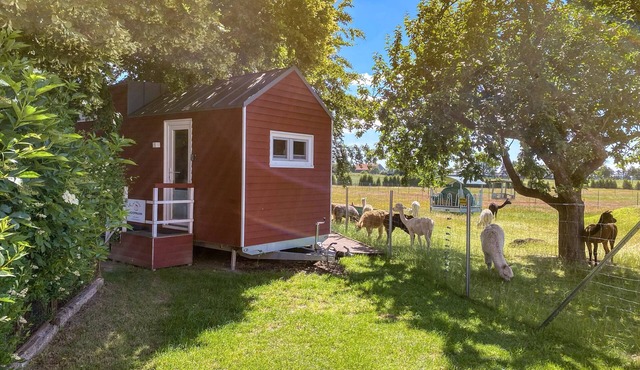 Tiny house on the alpaca farm - Tiny House
