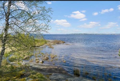 Tiny house with lake view