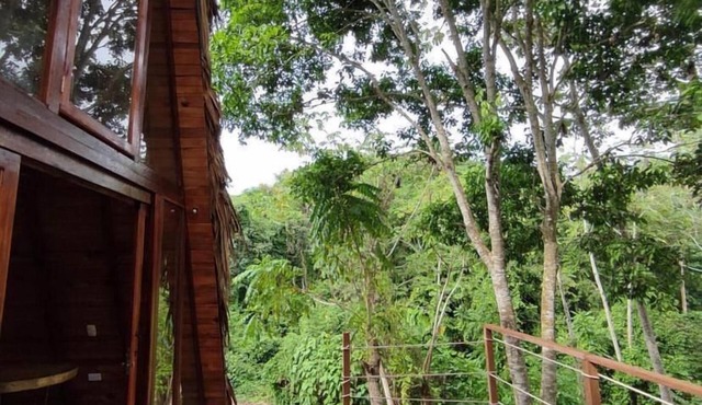 Tiny Houses Unique Tayrona