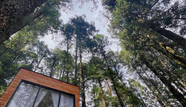TinyChillHouse