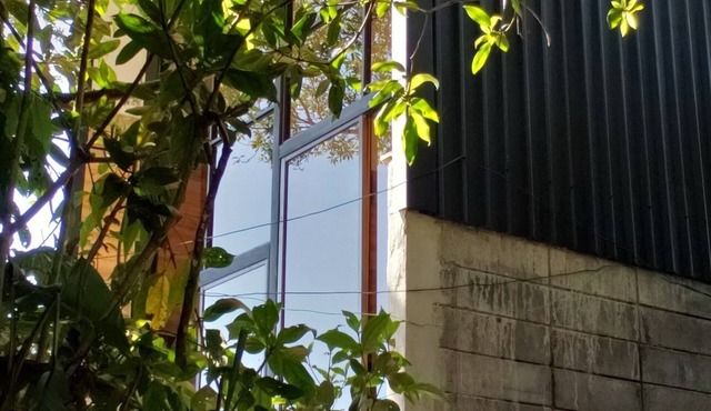 Tinyhouse en el Bosque