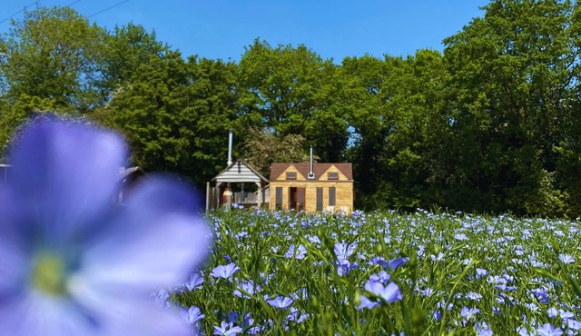 Tinywood Two, dog friendly with hot tub, sleeps six people in Warwick