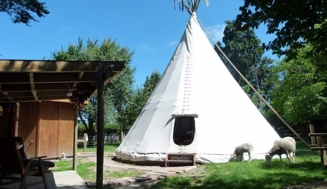 Tipi/Teepee - Wacky Stays = six UNIQUE rentals in Kaikoura