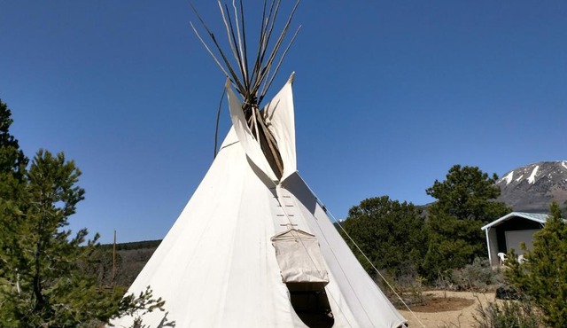 Tipi