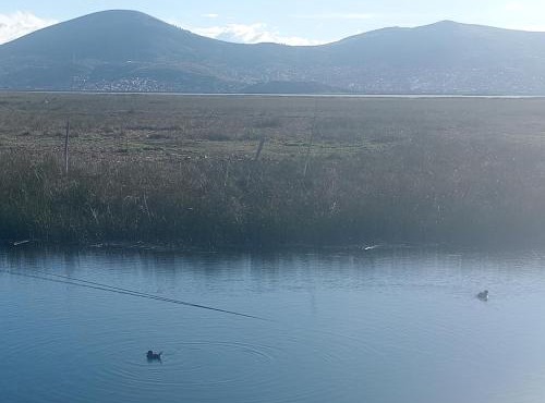 Titicaca
