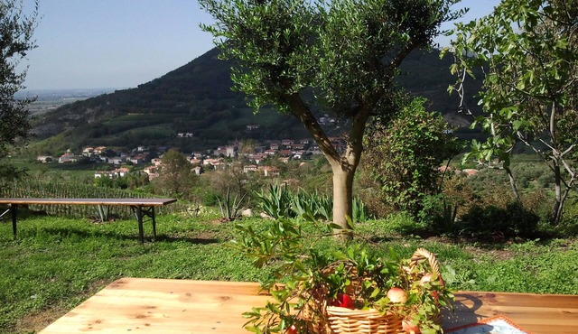 To Venice by train and the autumn colors of the Euganean Hills
