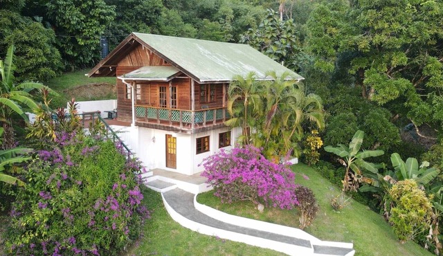 Toad Heights, Castara, Tobago stunning rainforest/ocean views 5 mins from beach.