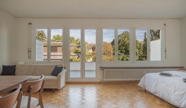 Top floor apartment with two terraces and BaselCard