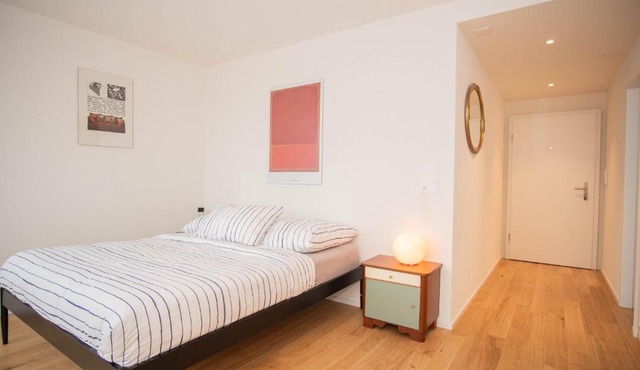 Top floor studio with terrace and free BaselCard