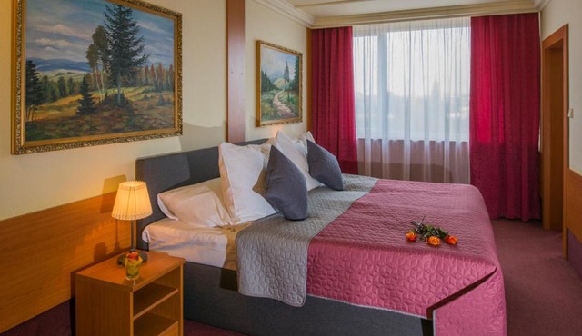TOP HOTEL Praha