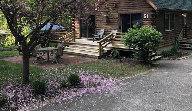Top Notch Luxury Log Cabin with private beach boat slip. LONG TERM WINTER RENTAL