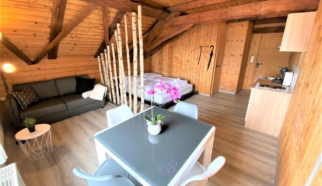 TOP-URIGES Apartment mitten im Bayerwald +NETFLIX