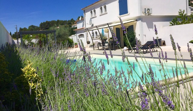 Top villa with pool, newly renovated in Provence