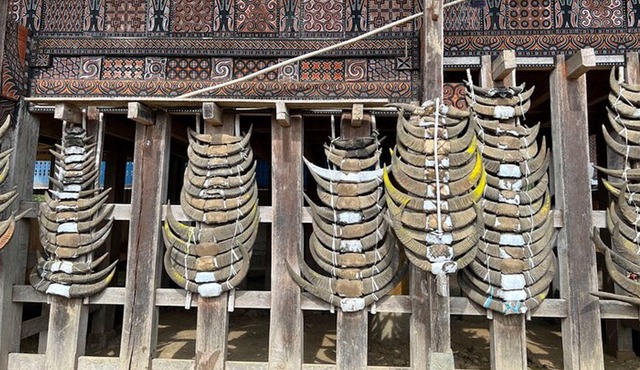 Toraja 2-Night Private Guided Tour from Makassar