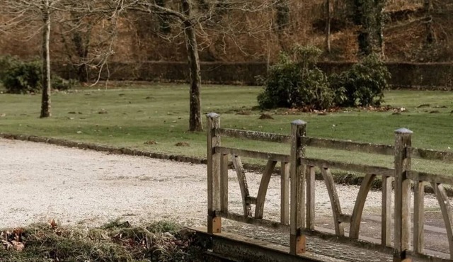 Total privatization of the Domaine