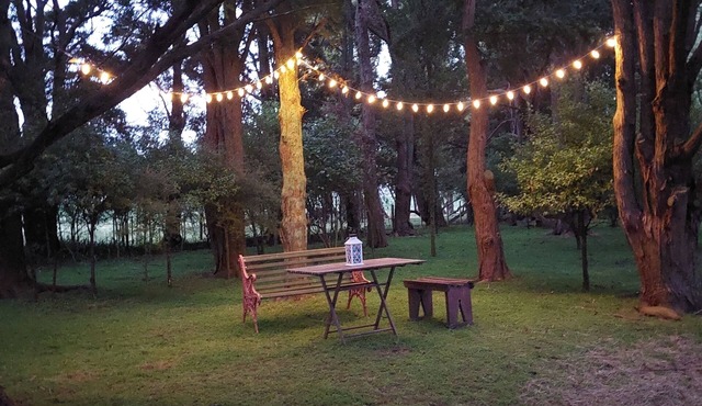 Totara Croft - a stargazers dream