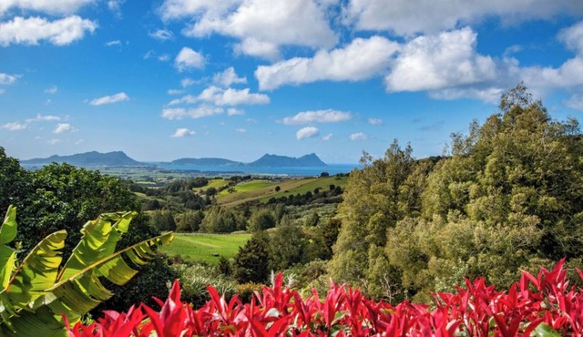 TOTARA RIDGE - A Private Escape with Ocean views Autumn/Winter Specials Book Now