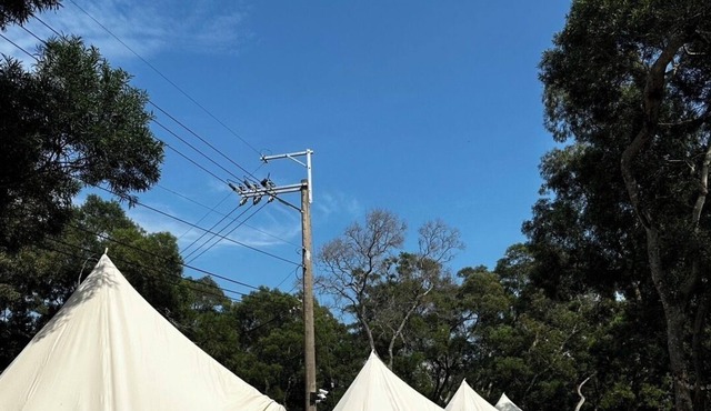Touching camping