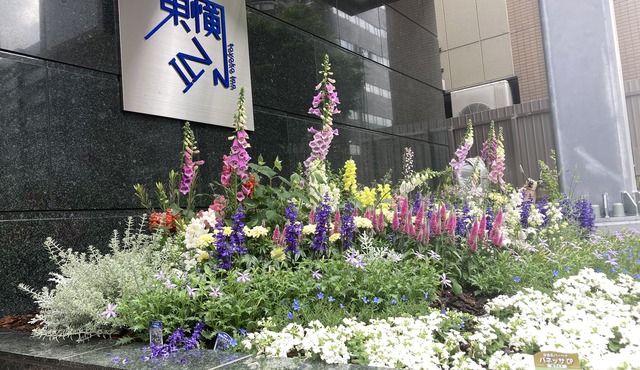 Toyoko Inn Kobe Sannomiya-eki Shiyakusho Mae