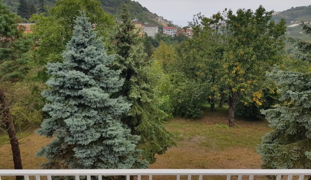 Trabzon