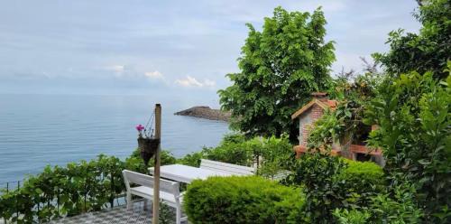 Trabzon Villa