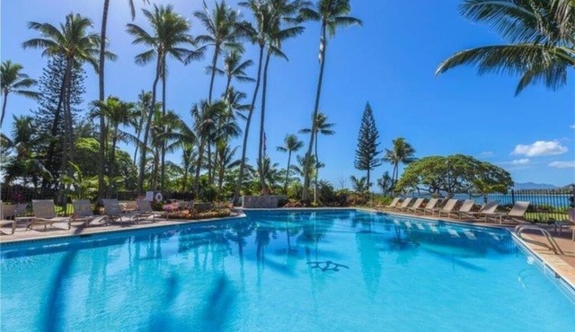 Trade Wind Breezes, Ocean Waves & Surf