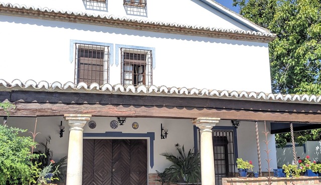 TRADITIONAL ARCHITECTURE COUNTRY HOUSE