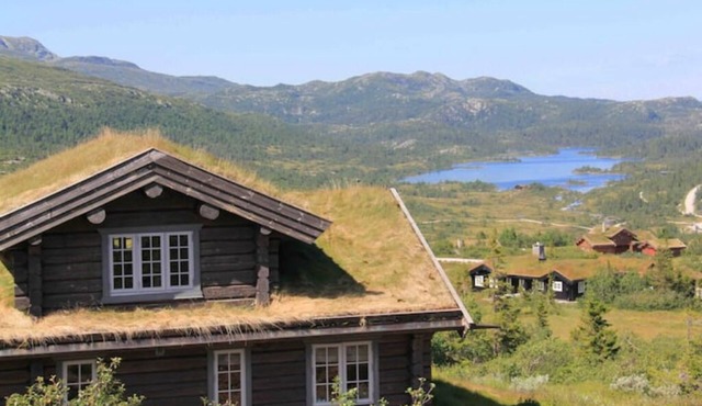 Traditional Norwegian cabin for families