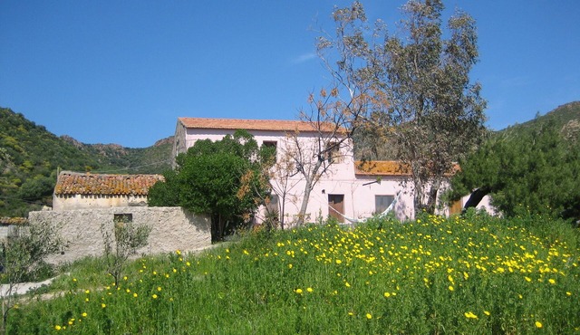 Traditional Sardinian Farm House, Terrace, Garden, Close to Sea and Beach