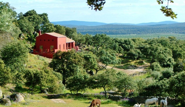 Traditional spacious cortijo surrounded by peaceful nature with lovely pool