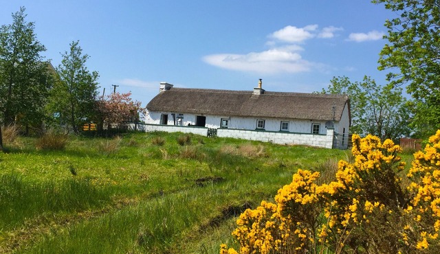 Traditional thatched cottage near the sea: log burner, paddock
