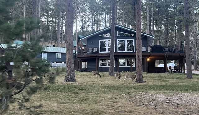 Trailer & Parking Friendly, 24x56 Garage, 5-bedroom, 3-bath, Newly renovated!