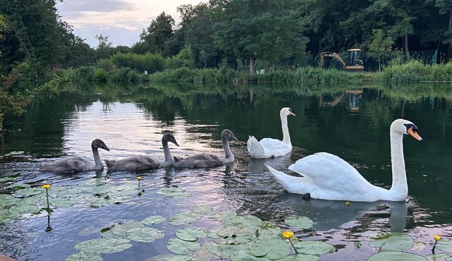 TRANQU'ILL sur les berges de l'Ill