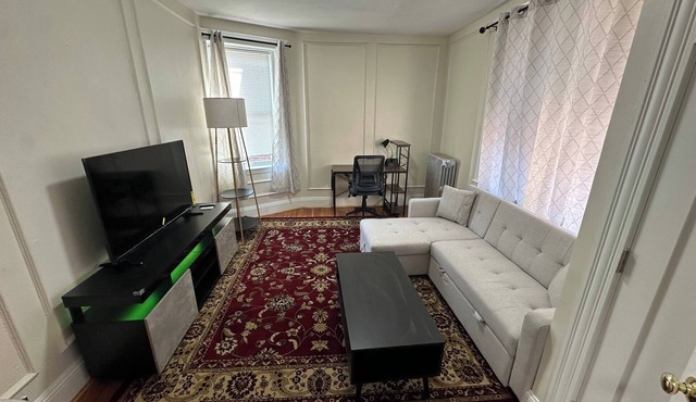 Tranquil 1-bedroom apartment with AC in charming Brookline - 11#6