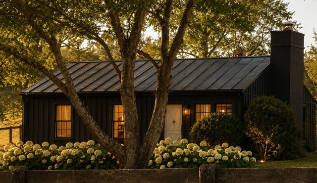 Tranquil 2-bedroom cottage on gorgeous horse farm in The Plains