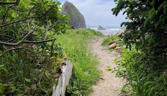 Tranquil Arch Cape Escape - Walk to the Beach!