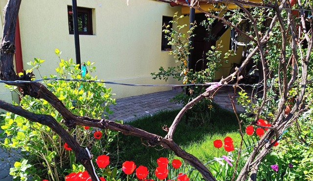 Tranquil building with WiF and parking, in Cisnădie, near Dracula's Castle.