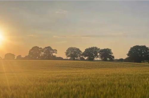 Tranquil detached barns in Sherborne St John