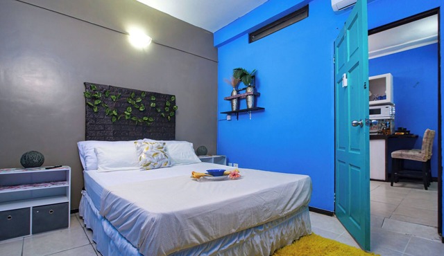 Tranquil. Rustic. Authentically Caribbean-style 2-bedroom sanctuary near beach