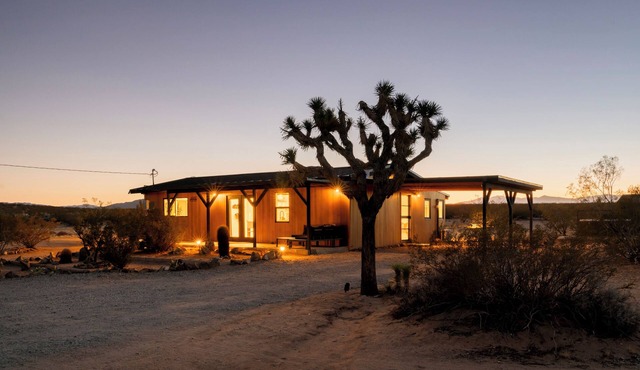 Tranquil Starlight Sanctuary