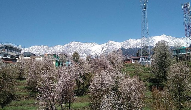 Tranquil trails home stay naddi