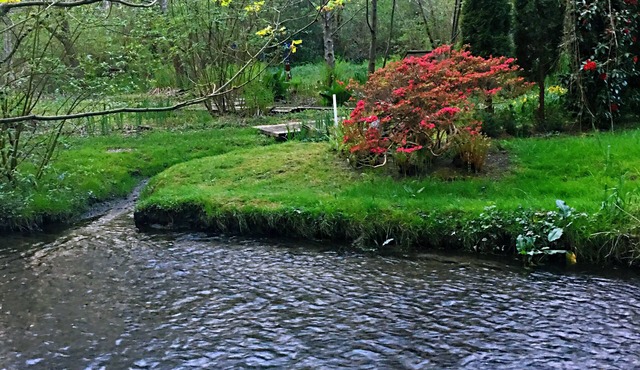 Tranquil Waterside Retreat: Newly Remodeled, AC, Creek Serenade