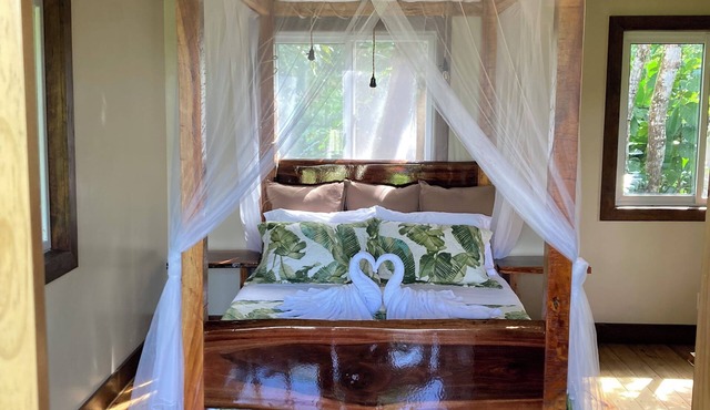 Tranquil Waterfall Studio, Oceanfront with Jungle Hiking and Starlink
