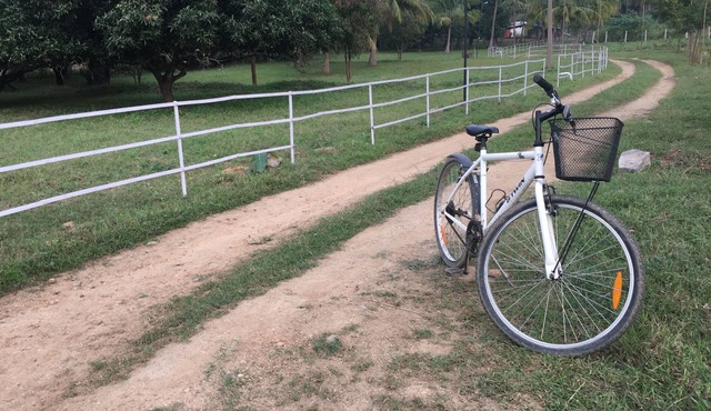 Tranquility and fresh air amidst greenery