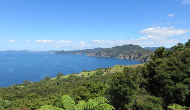 Tranquility Base ~ Northern Coromandel